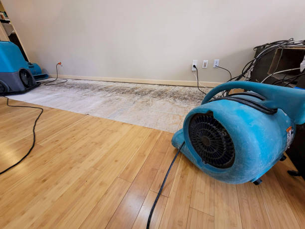 Professional Basement Flood Cleanup technician working in Wisconsin, WI